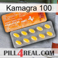 Kamagra 100 new05